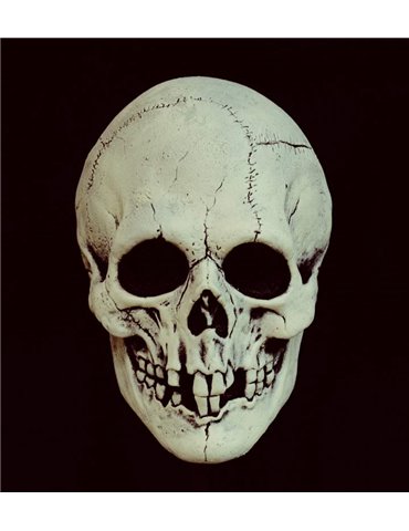 Mask Head Night Owl Skull Black & White