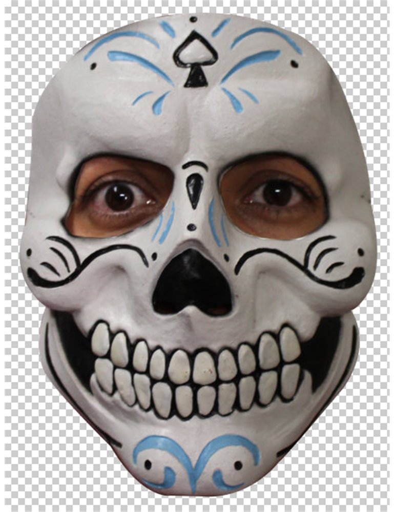 Mask Face Day of the Dead Mister Catrin