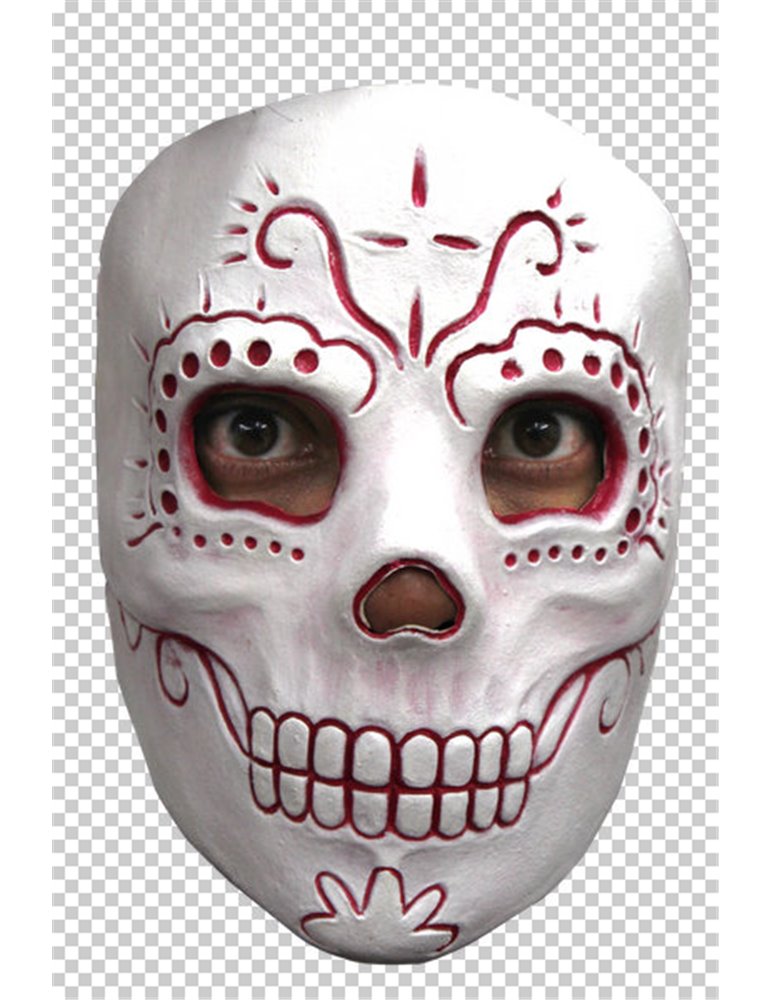 Mask Face Day of the Dead Madame Catrina