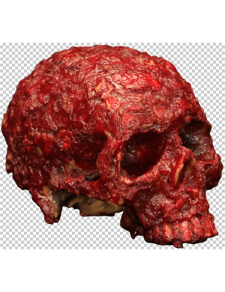 Decorative Bloody Scab Resin Skull