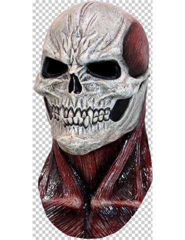 Mask Head Skull Flesh