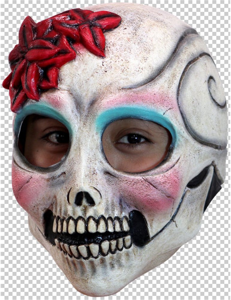 Mask Head Day of the Dead-La Senorita