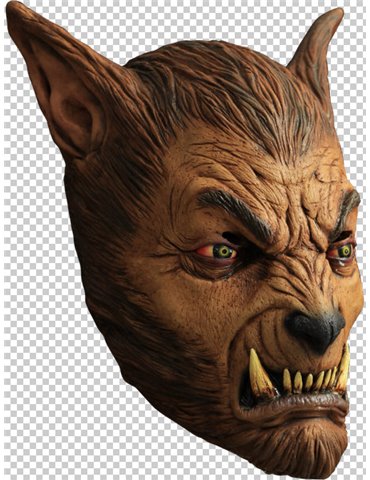 Mask Head Werewolf Beast Wolf