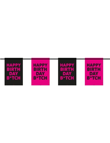 Bunting Happy Birthday Btch 6m