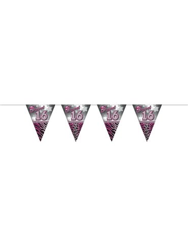 Sweet 16th Birthday Bunting Flags 10mtr