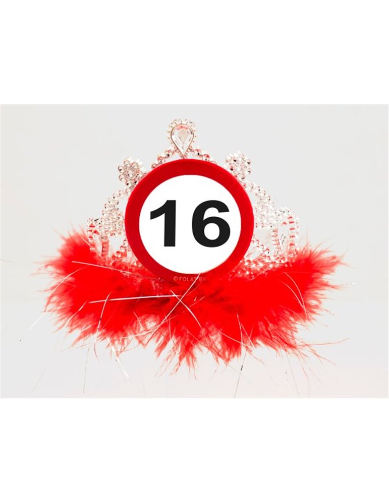 Traffic Sign 16th Birthday Tiara with Fe