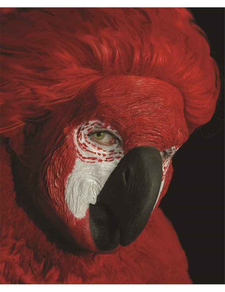 Mask Face of a Parrot