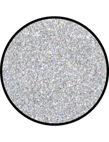 Glitter Holographic Jewel Silver Fine