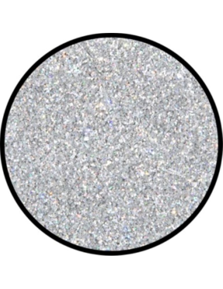 Glitter Holographic Jewel Silver Fine