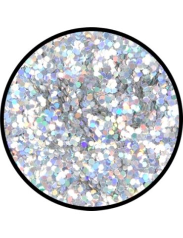 Glitter Holographic Jewel Silver Roug