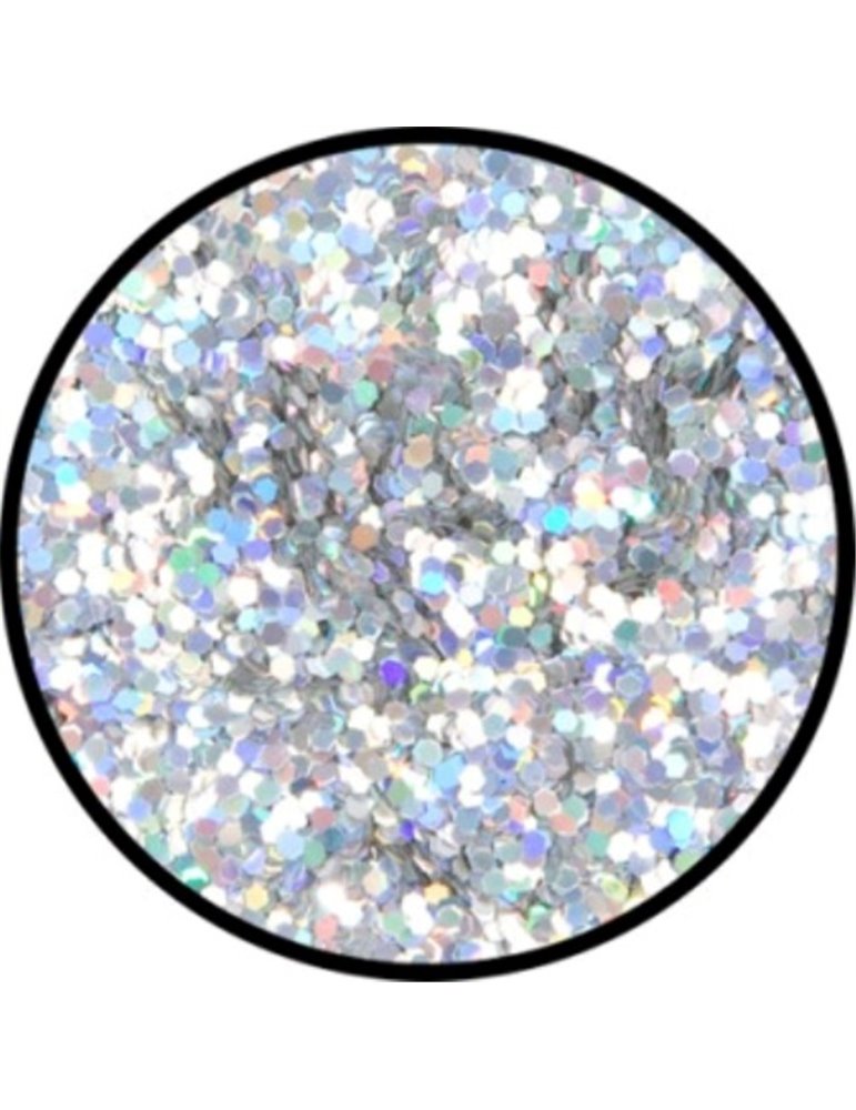 Glitter Holographic Jewel Silver Roug