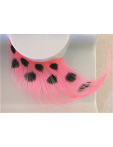 Eye Lashes Feather Black Spots on Pi