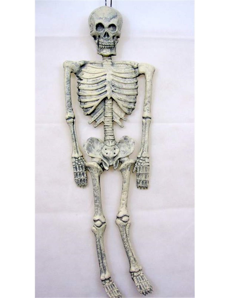 Decorative Skeleton 90cm Long