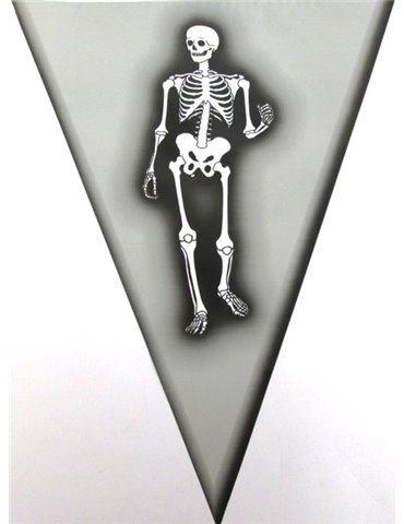 Bunting Halloween Skeleton  6m & 15 flag