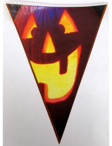 Bunting Halloween Pumpkin  6m & 15 flag