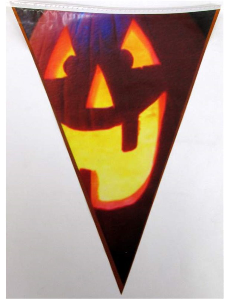 Bunting Halloween Pumpkin  6m & 15 flag