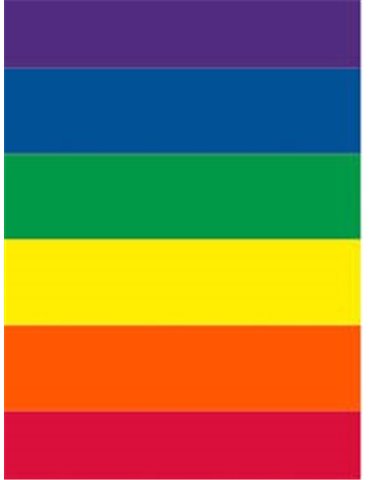 Bunting Rainbow 10m x 15 Flags