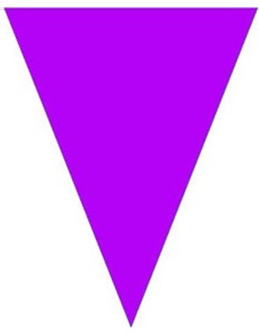 Bunting Plain Purple 10m & 15 Flags