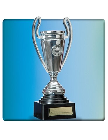 Trophy Cup on Stand 24cm