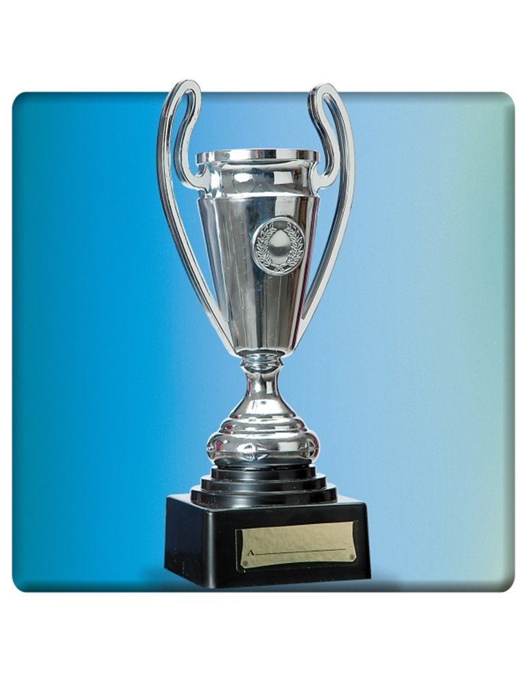 Trophy Cup on Stand 24cm