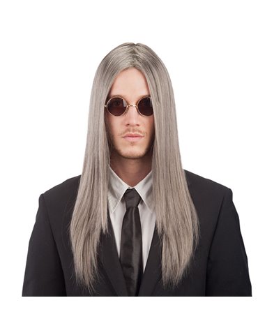 Hair - Wig Straight Long Grey in PVC Box