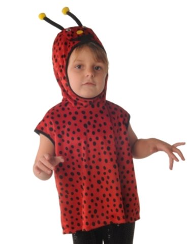 Tabard Child Lady bird 3-4 Year