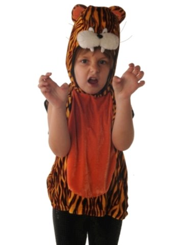 Tabard Child Tiger 3-4 Year