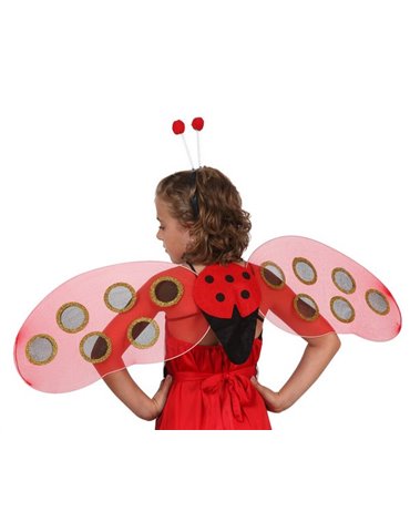 Wings Ladybird with Antennas 37x53cms