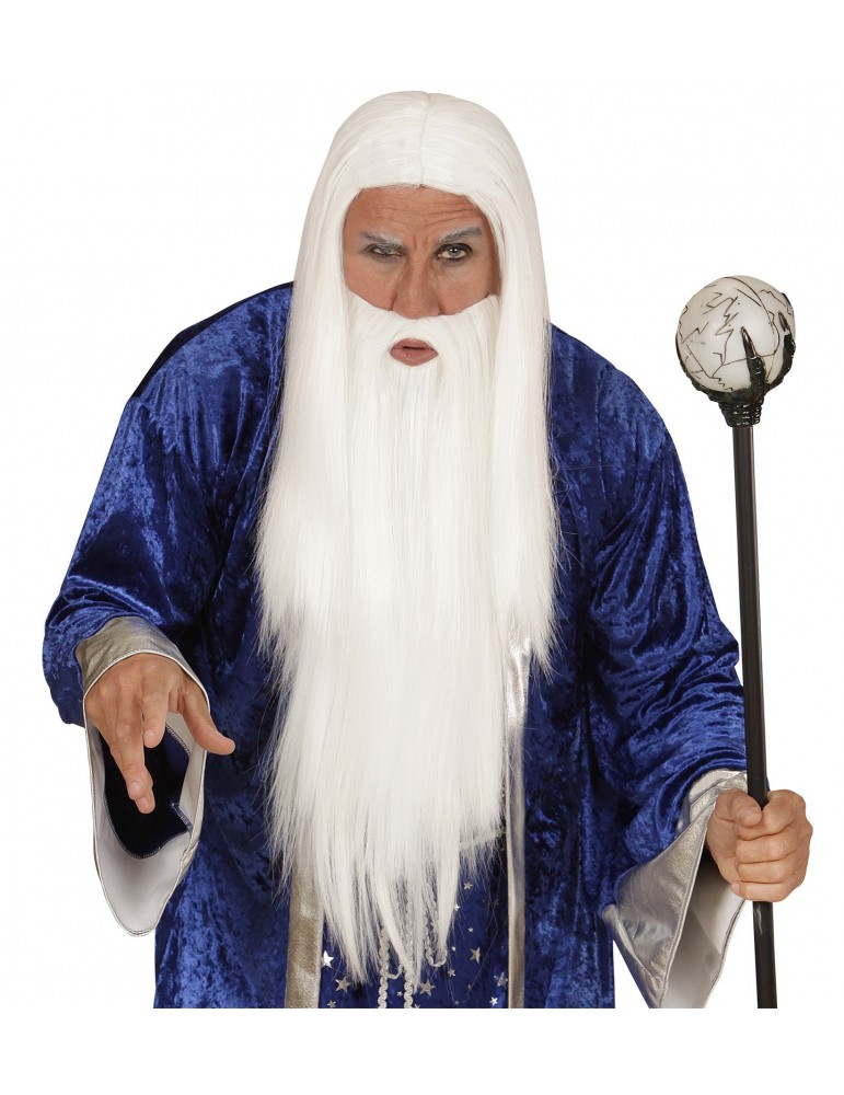 WIZARD WIG & BEARD in polybag